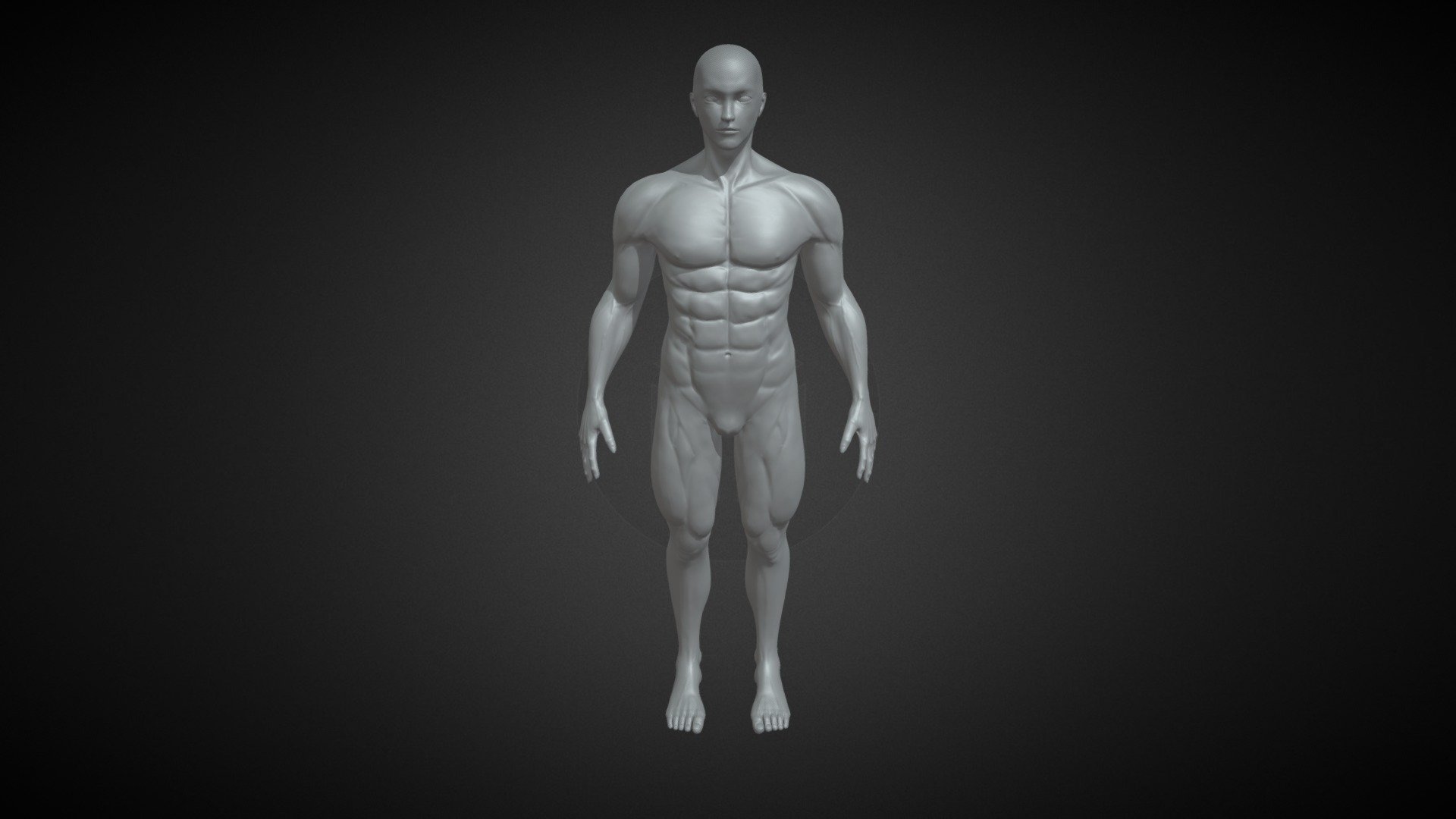 human male body - 3D model by miyapCG / Character model maker (@miyapCG ...