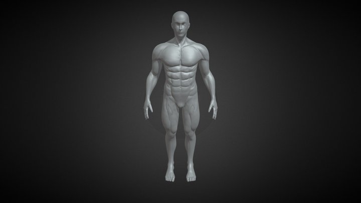 human  male body 3D Model