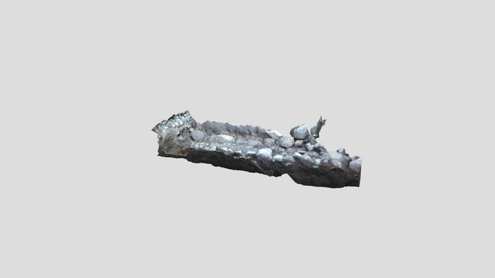 CLARA_ROJAS_COSTADO_W_CIMIENTO(111) 3D Model