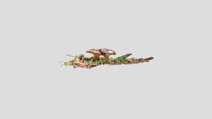 Russula, Brenta Dolomites, Italy, Kiri no mask – Modello 3D gratuito STL