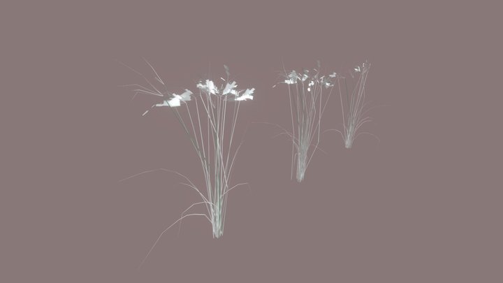 needle grass 3D Model