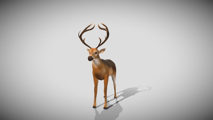 deer_full body 3D Model