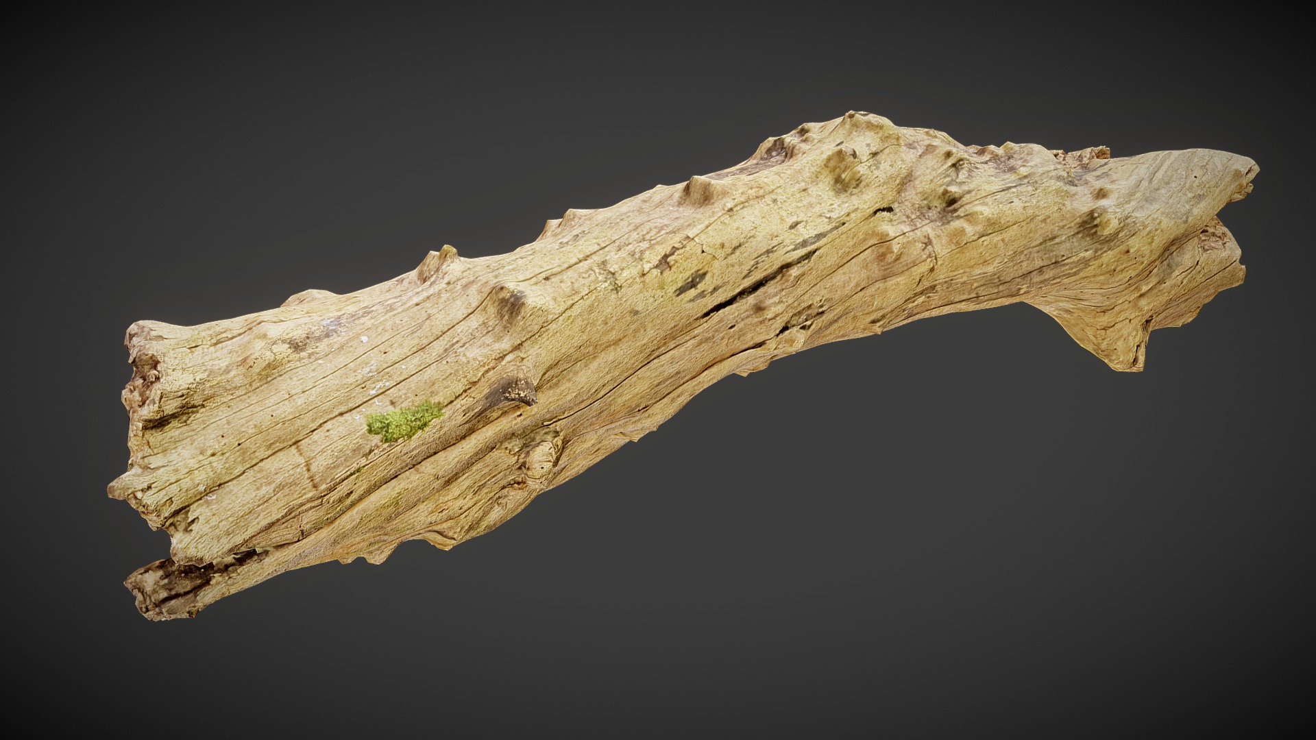3D model Barkless-wood 02 - This is a 3D model of the Barkless-wood 02. The 3D model is about a log with a plant growing out of it.