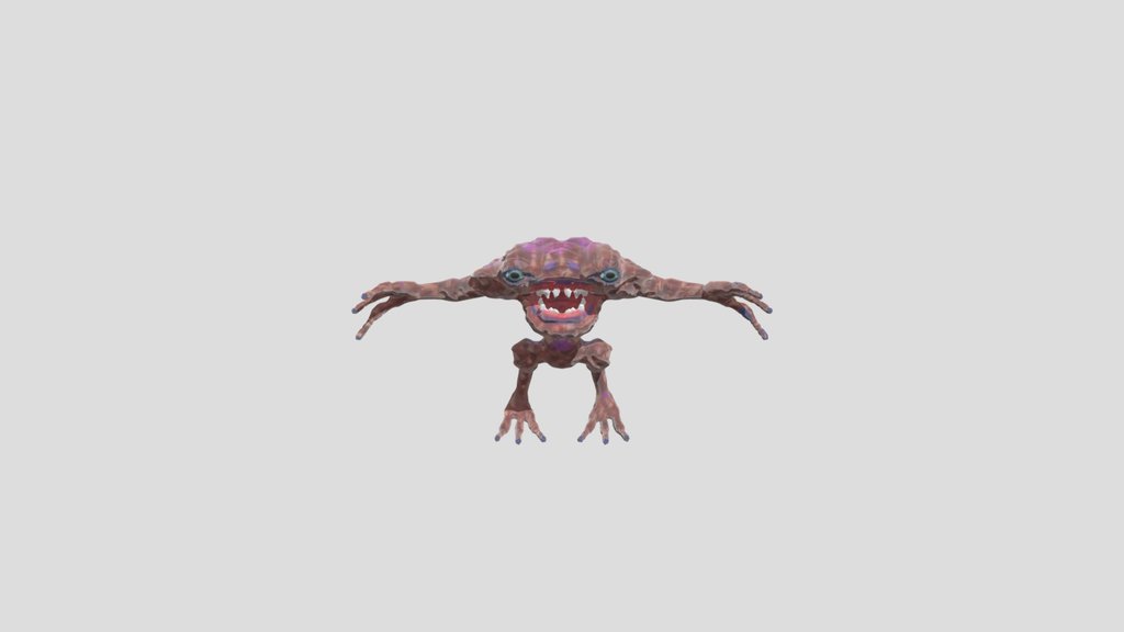ShoreLizard1f