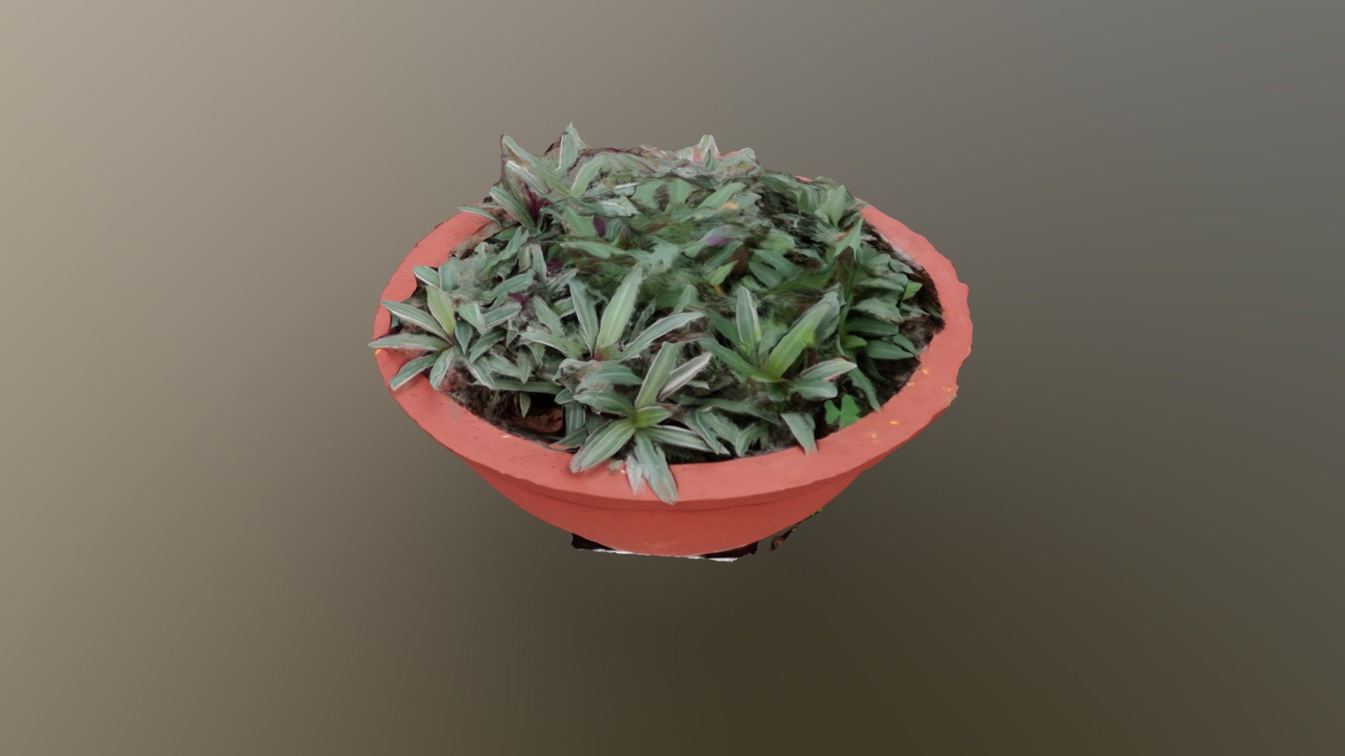 Flower Pot 3d model