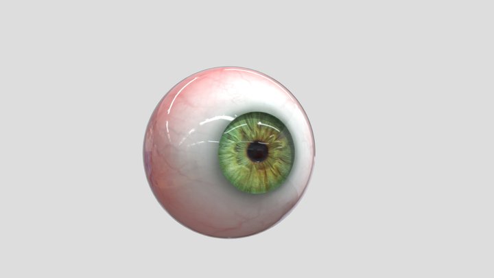 Eyeball 3D models - Sketchfab