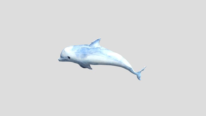 dance dolphin 3D Model