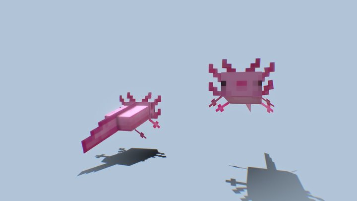 Minecraft Axolotl 3D Model