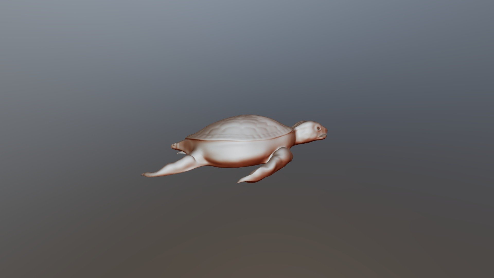 Turtle