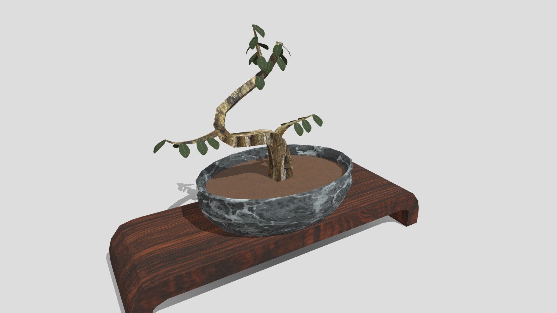 Wk8 Plant Tucker