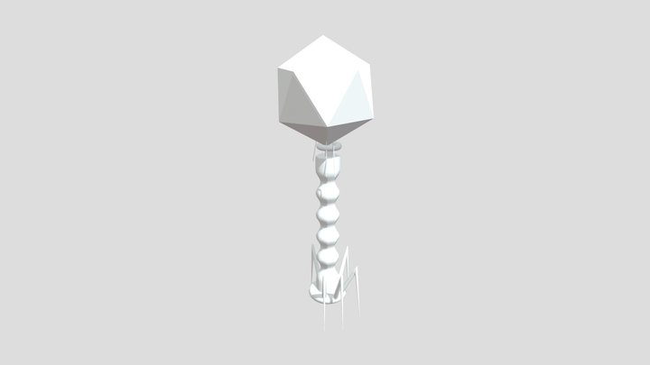 Bacteriofago Delver Y Kenneth Soza 3D Model
