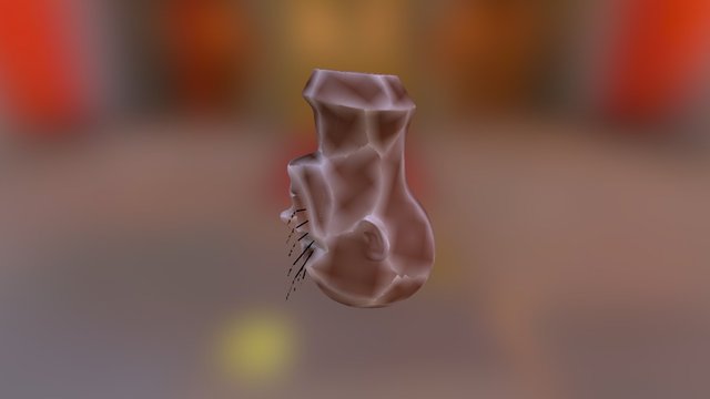 coronal test 3D Model