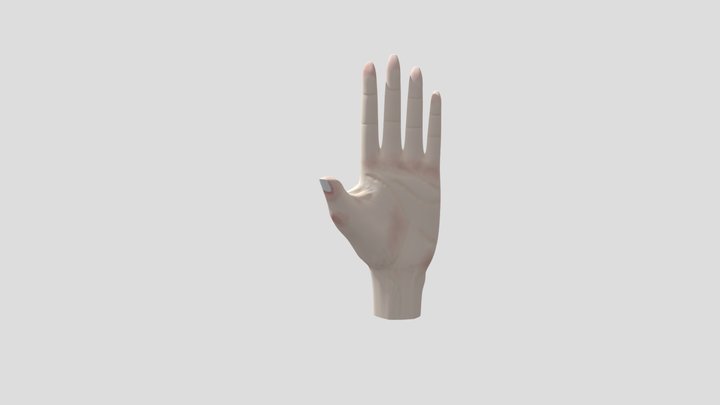 3D_Sculpted_Hand_Ketelslegers_Sterre-Marie 3D Model