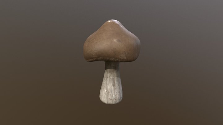 CGA - 3D Art Production - Mushroom 3 3D Model