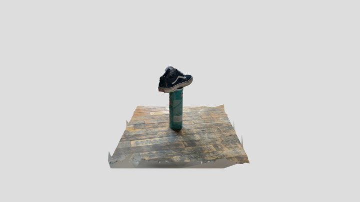 Vans Shoe and Pringles (Scan) 3D Model