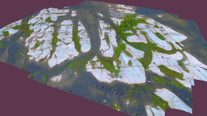 Henvey Inlet Flat Island decimated 50/100 3D Model