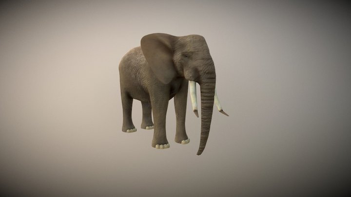 Elephant 3D Model