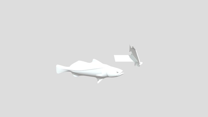 Cachema 3D Model