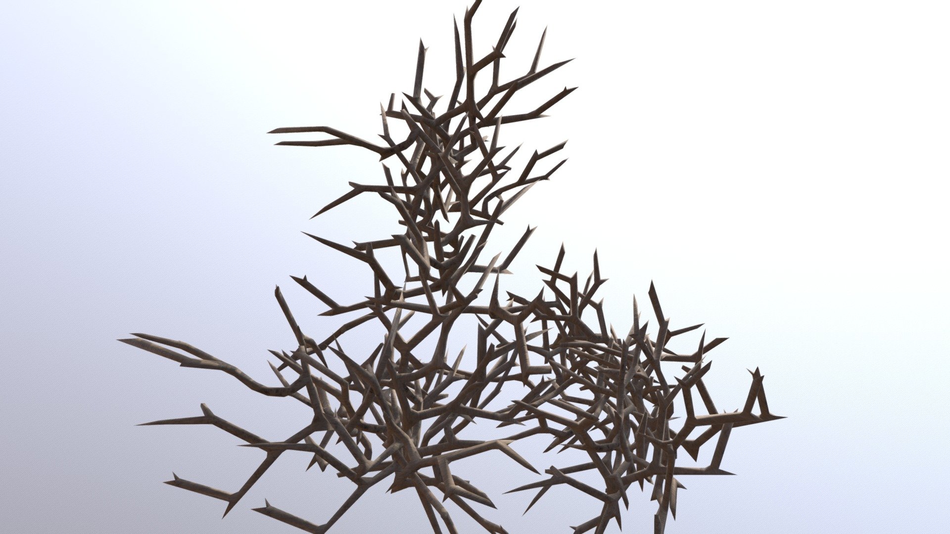 Tree Branches1