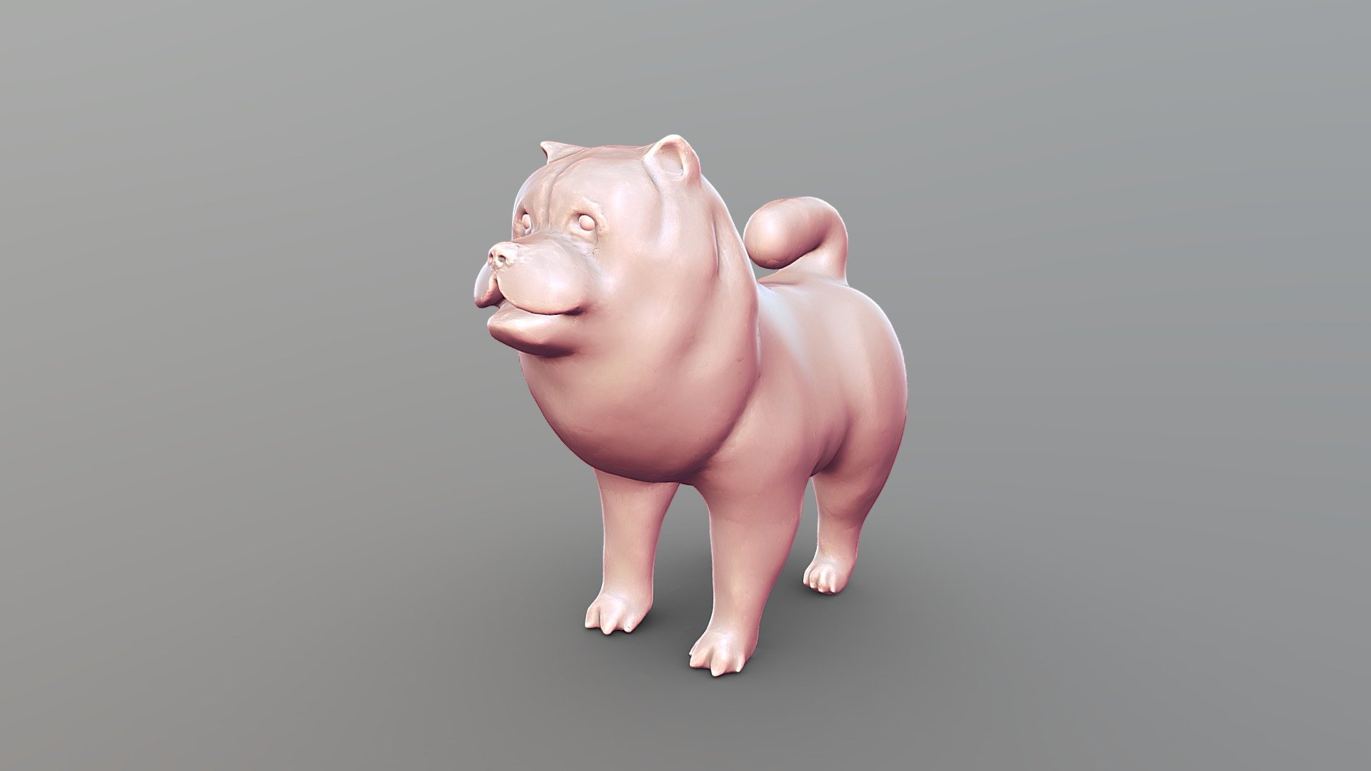 Chow Chow