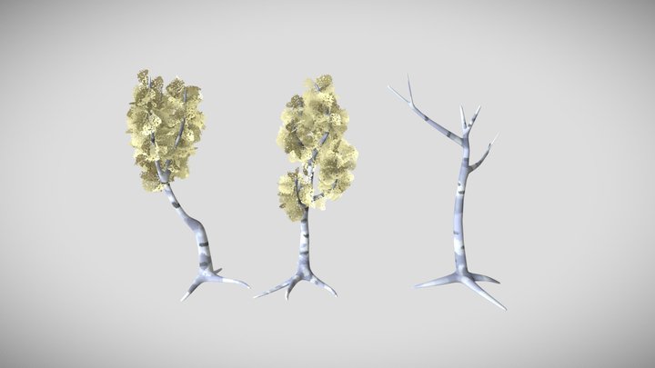 Birch trees 3D Model
