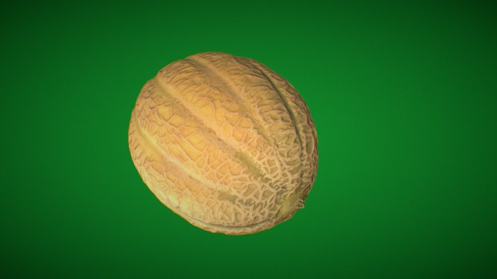 Photogrammetry Melon 3D Model