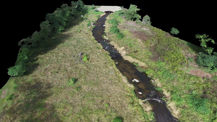 Town Brook 3D Model