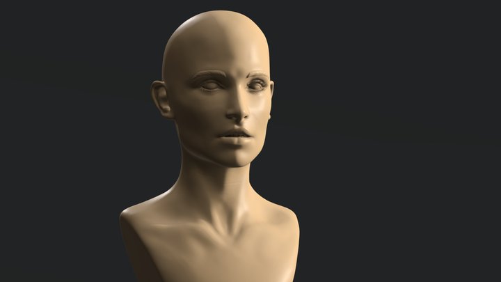 Woman Face Study 3D Model