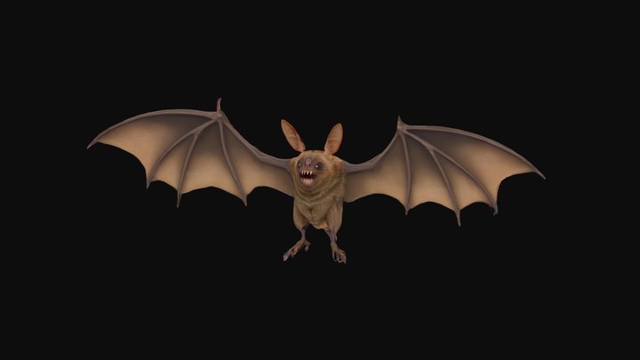 Bat model 3D Model