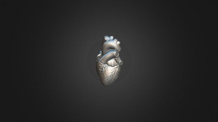 Heart 3D Model