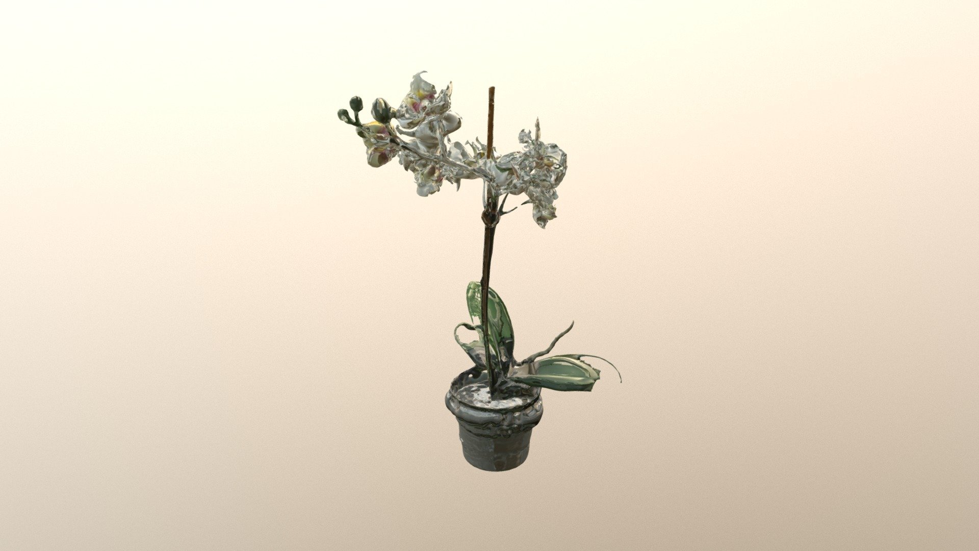 Flower_pqpm1000