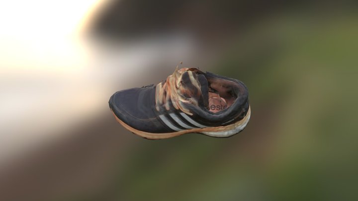 Adidas Shoe 3D Model