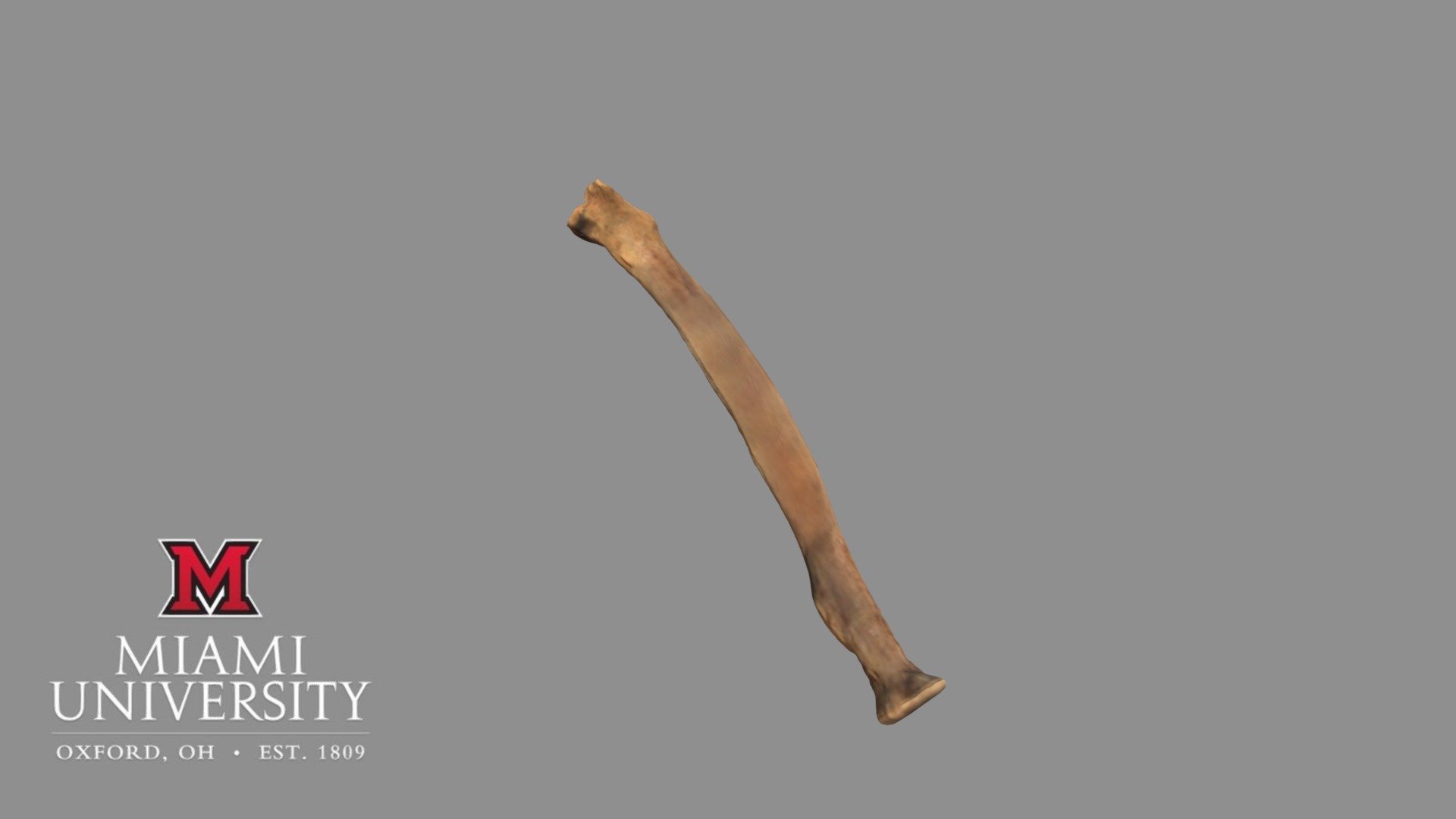177694 Potto Radius