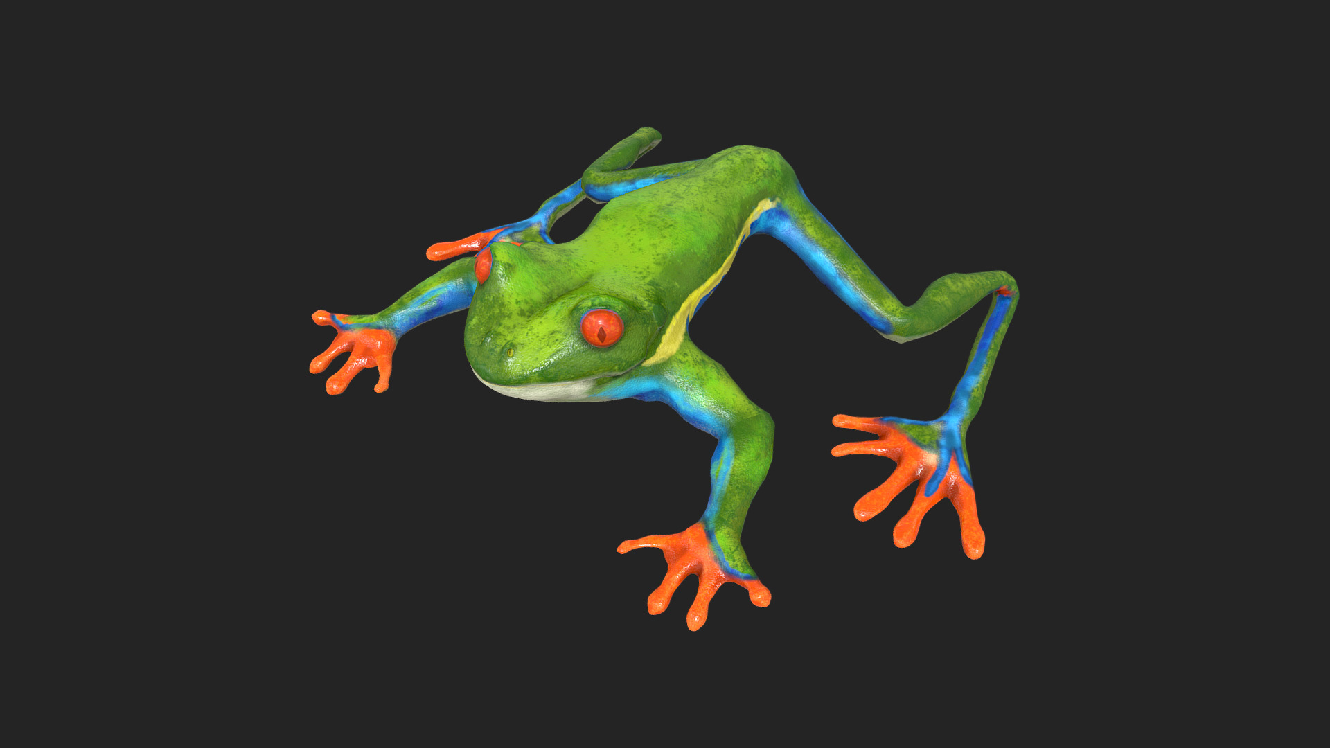 3D model Low poly tree frog Hylidae amphibian - This is a 3D model of the Low poly tree frog Hylidae amphibian. The 3D model is about a green frog with red eyes.