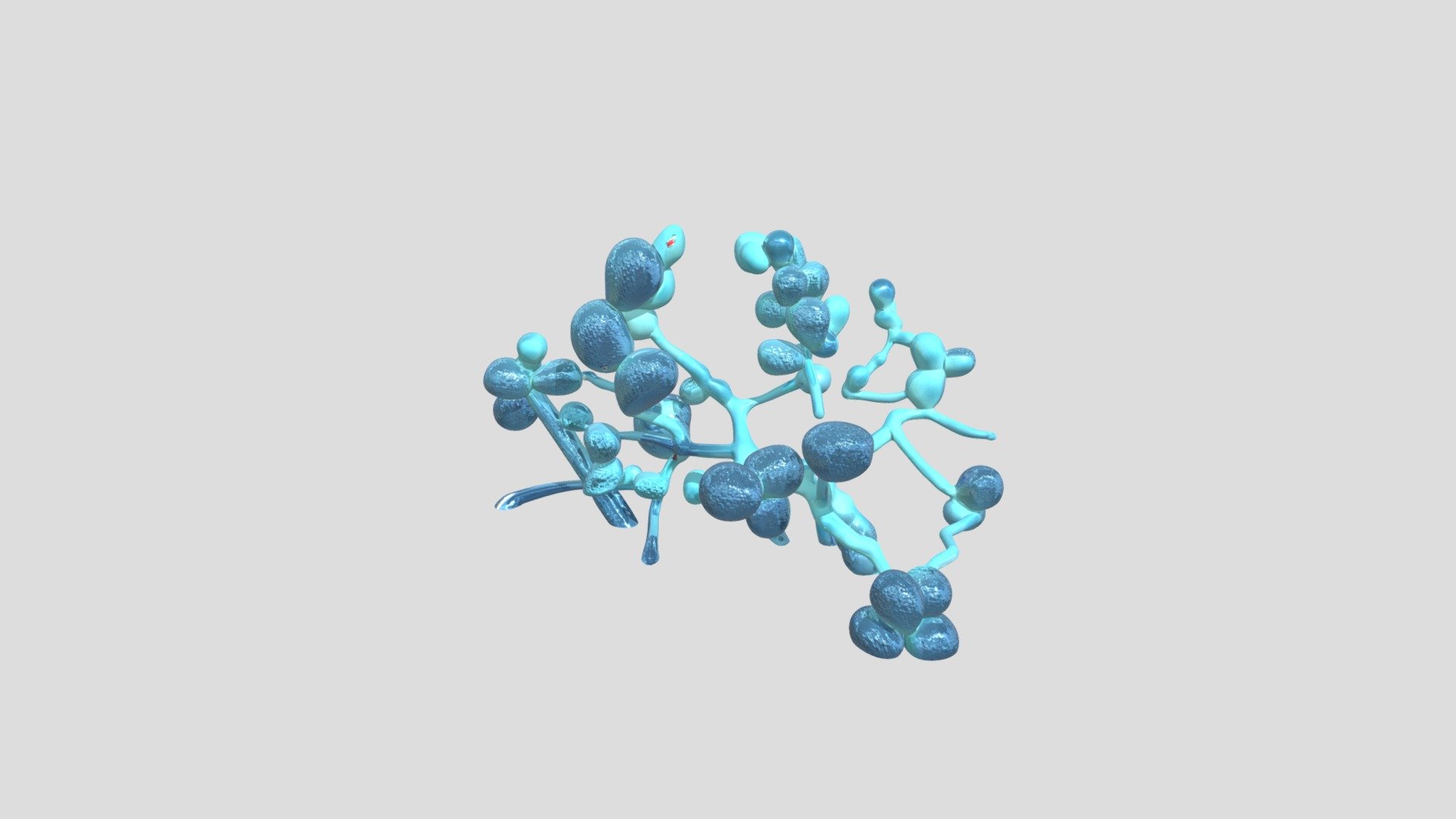 candida albicans - Download Free 3D model by mayangmakartitama [223bf44 ...