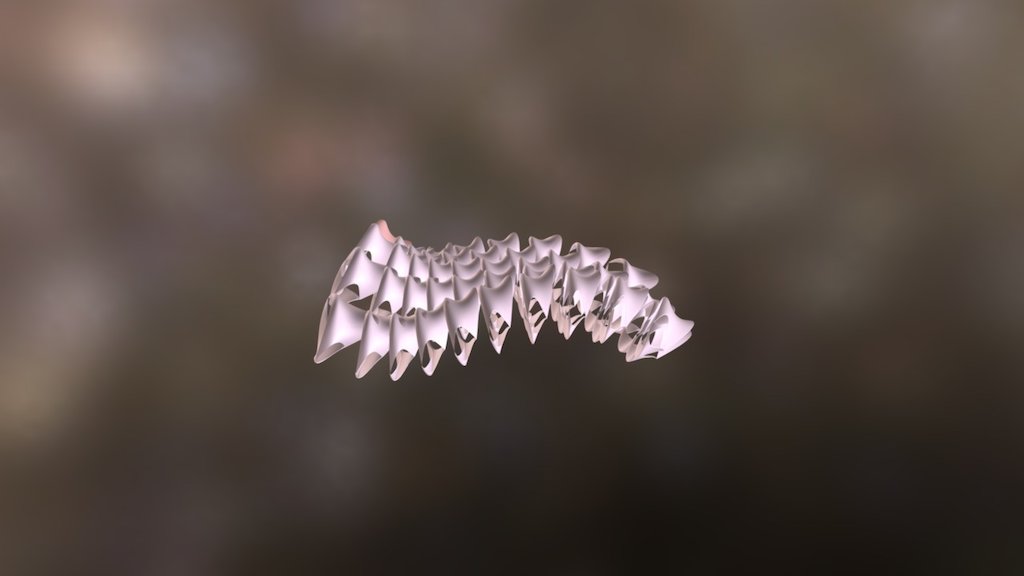 Tessellated Surface403367153 顏于雅