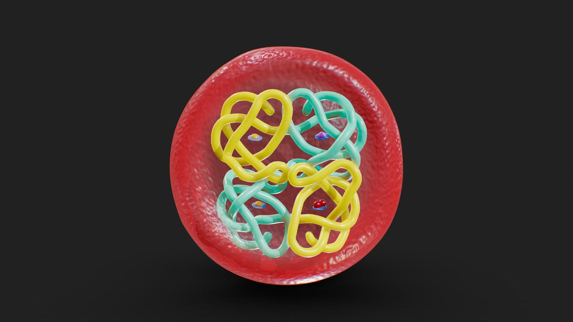 The Structure of Hemoglobin - Buy Royalty Free 3D model by Nima ...