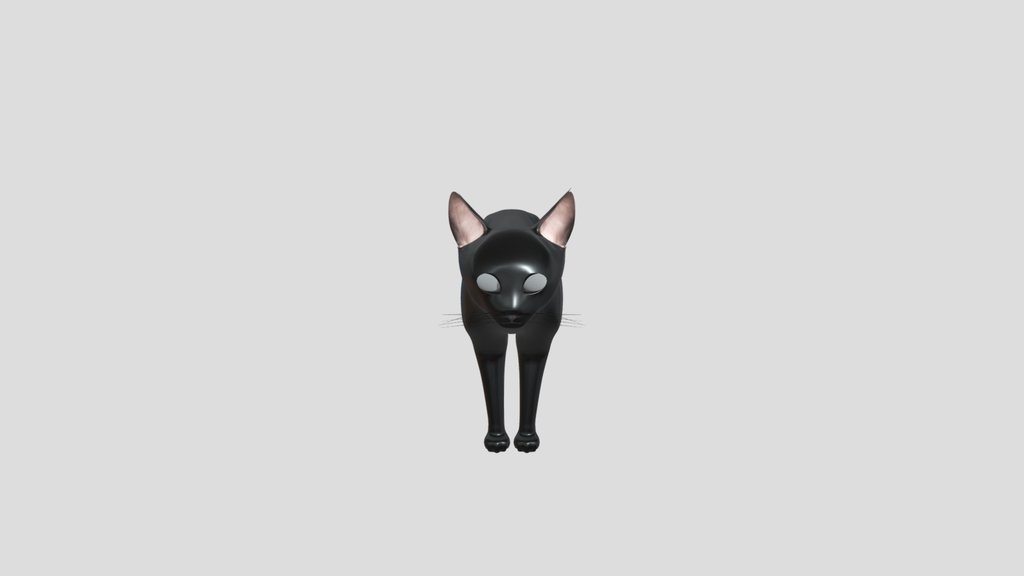 Black Cat