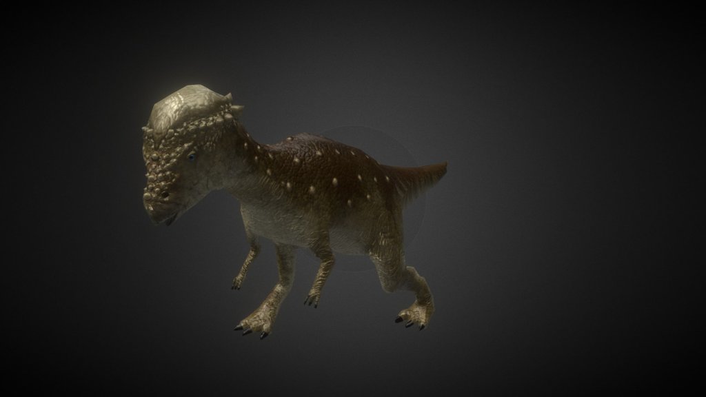 Pachycephalosaurus