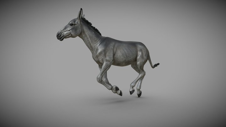 Horse  T-Pose - Buy Royalty Free 3D model by BreathTime (@BreathTime)  [364b8dc]