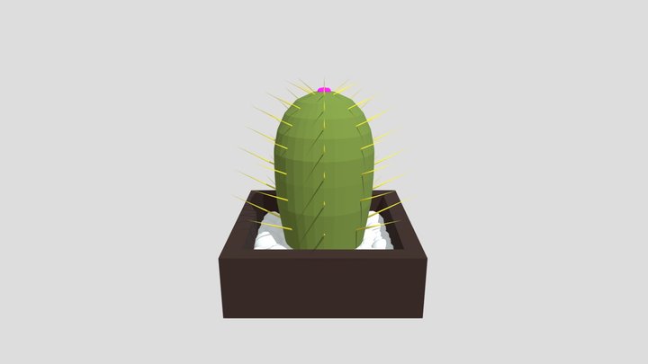 Cactus Plant