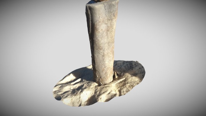 Coconut log 3D Model