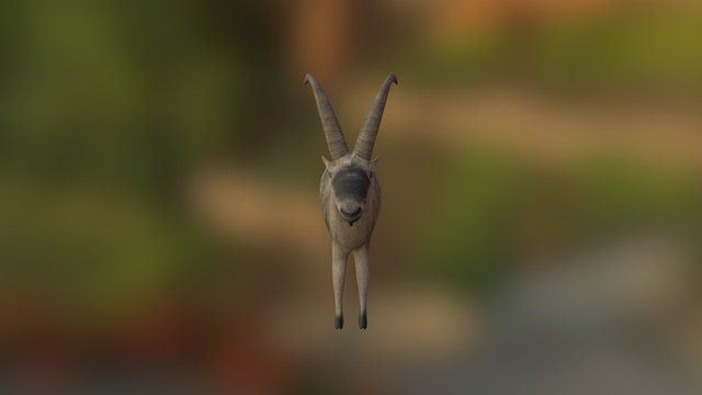 Goat 3D Model
