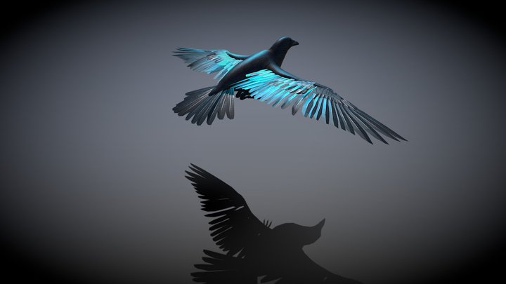 crow_rigged animated 3D Model