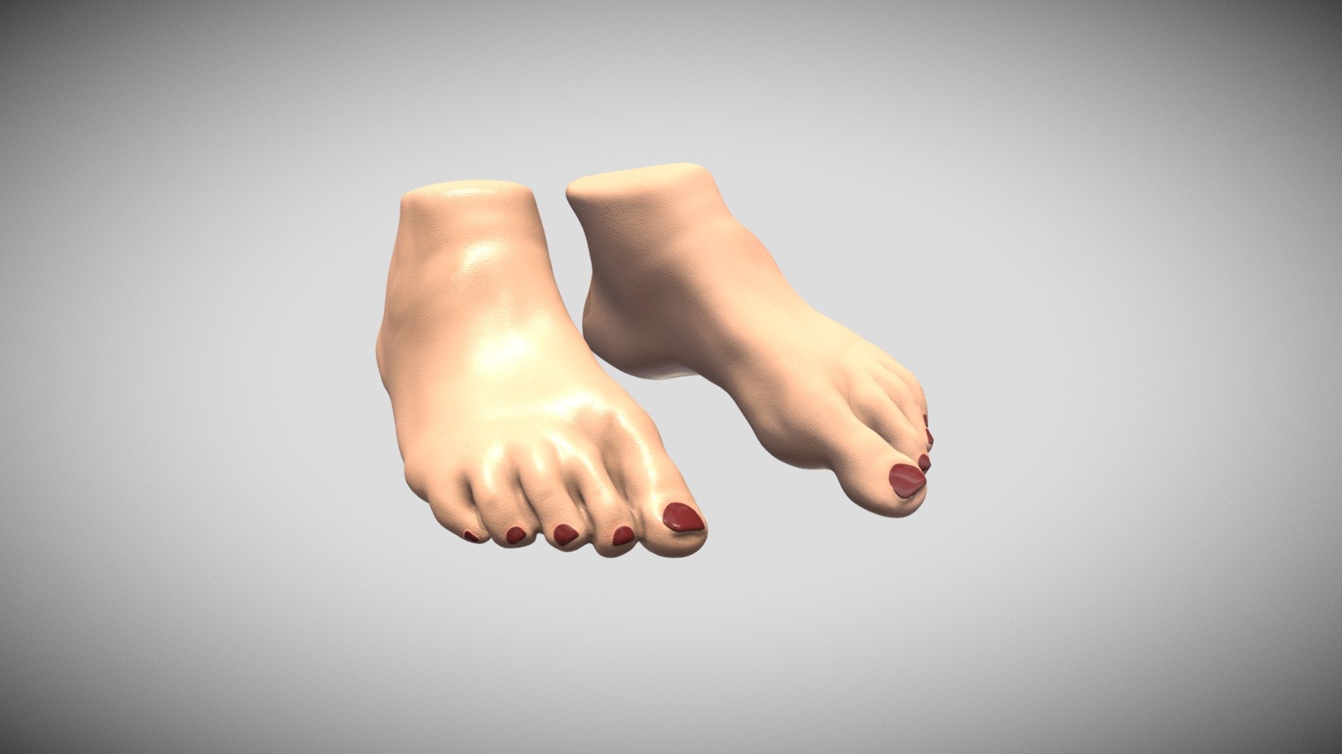 foot-sculpt-download-free-3d-model-by-emily-evans-emilyevans-2245d2d-sketchfab