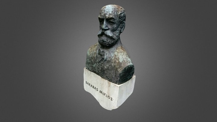 The Statue of Miklós Barabás 3D Model