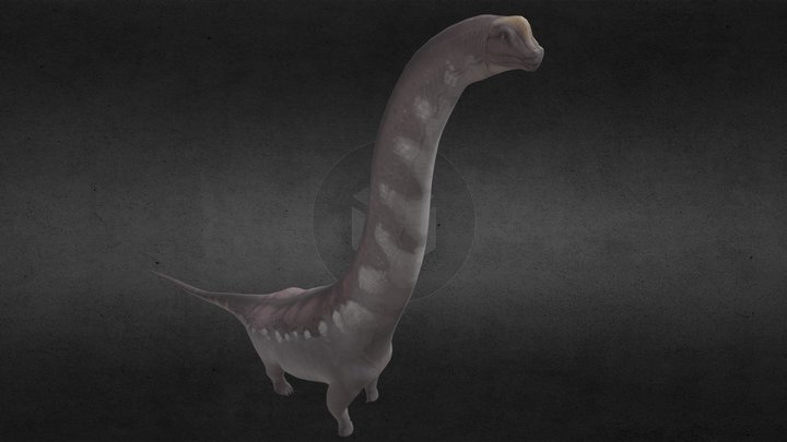 Brachiosaurus Altithorax 3D Model