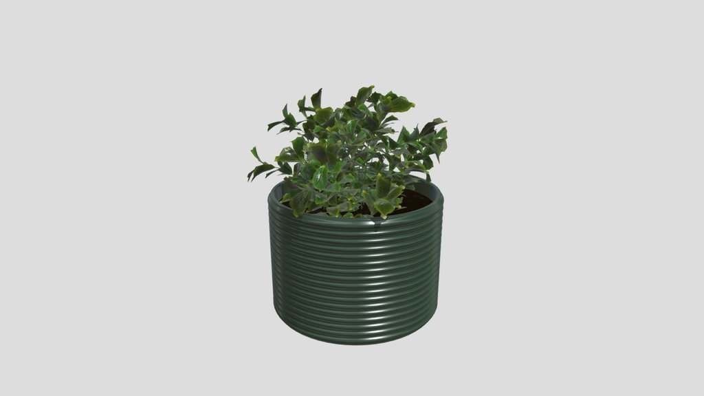Verdant Bush