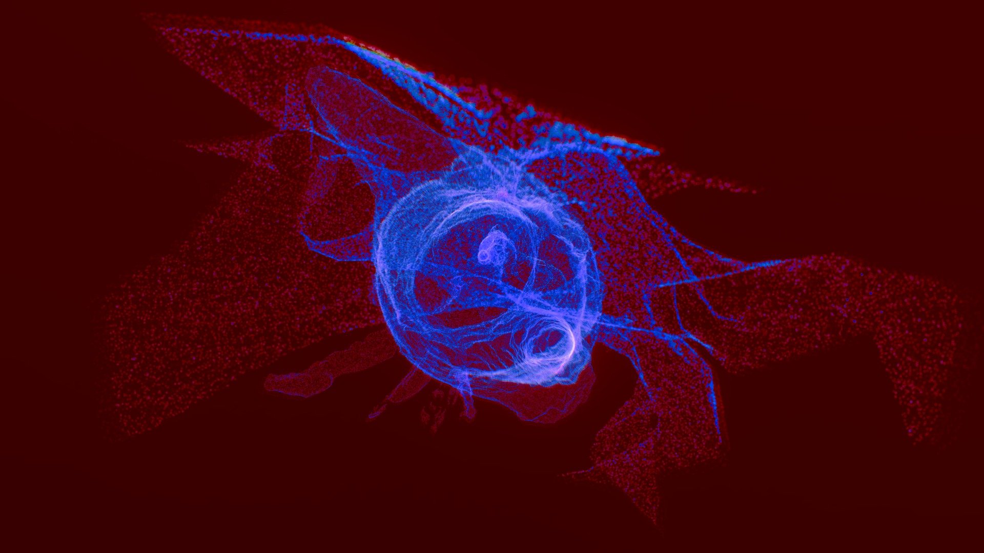 Staatskörper 2024 I (POINTCLOUD) - XARS 2020