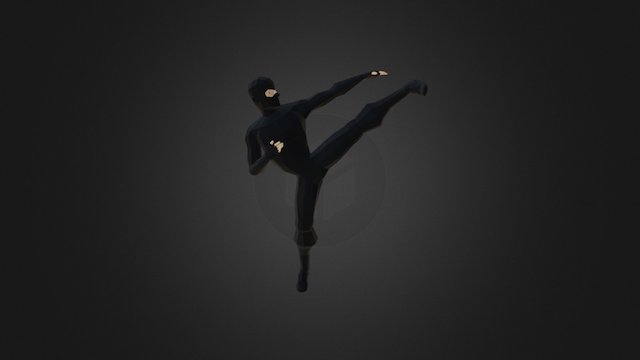 Ninja Kicking 3D Model